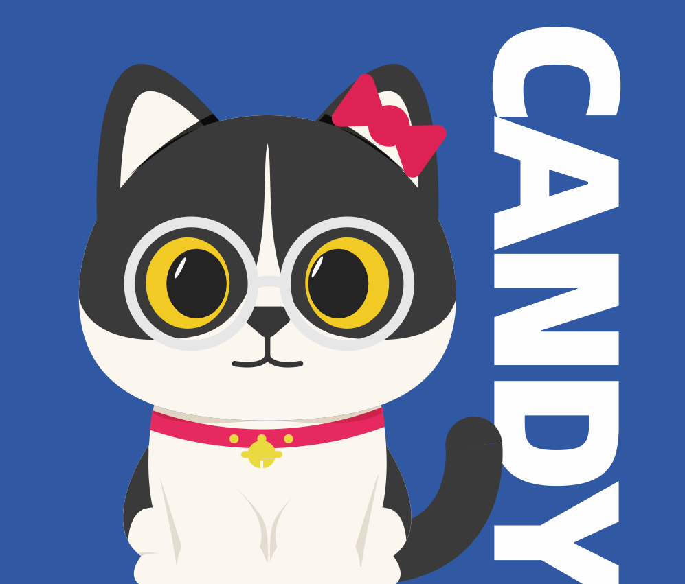 🐱 Candy the Cat
