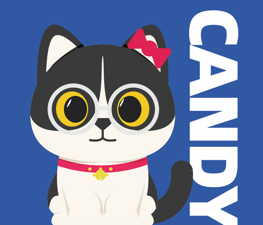 🐱 Candy the Cat